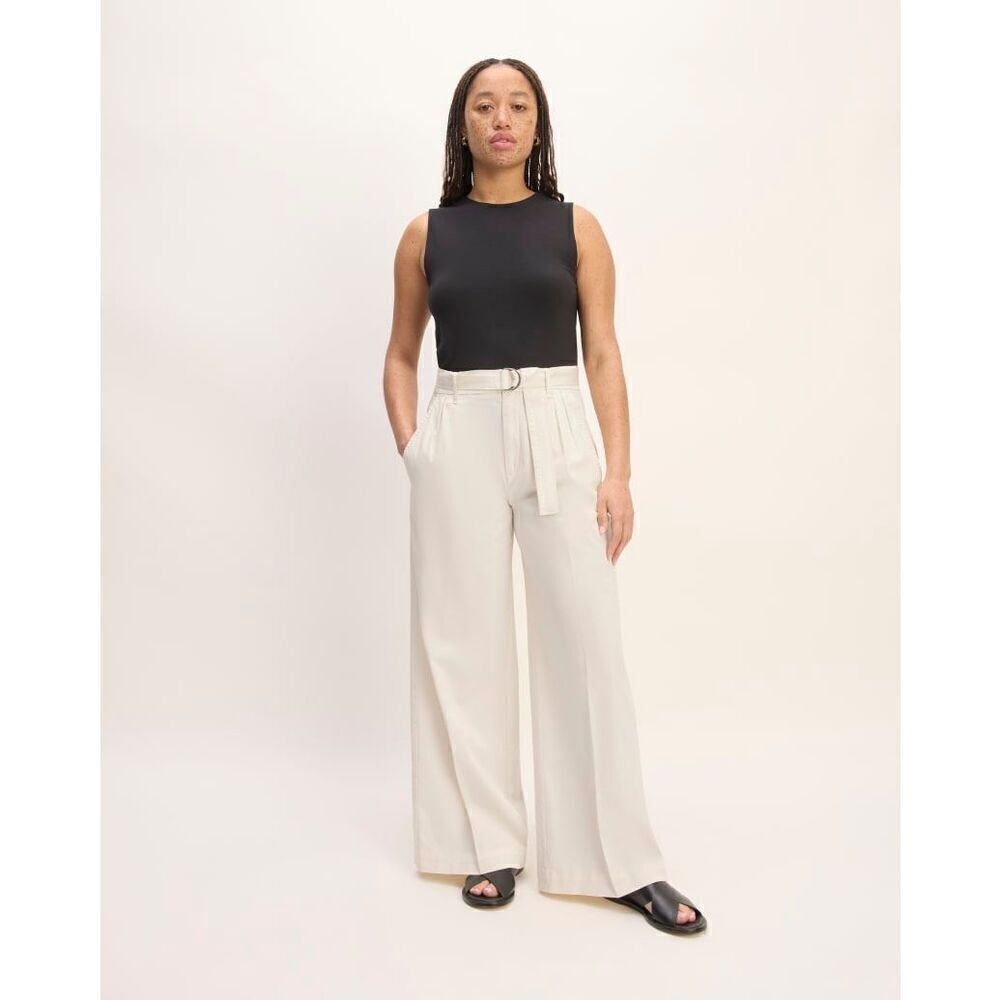 NWT Everlane The Pleated Wide-Leg Chino